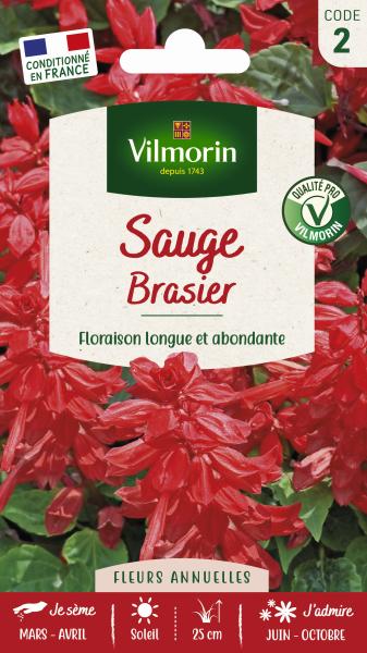 Fleurs - Sauge Brasier - PACKAGING_RECTO
